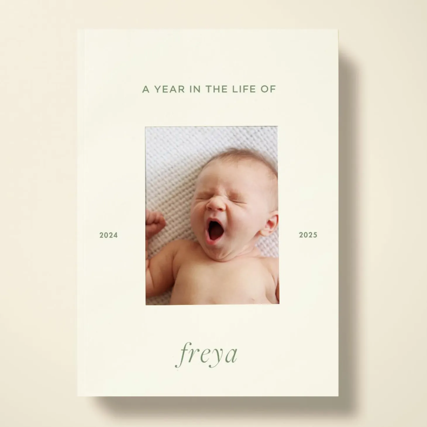 A Year in the Life