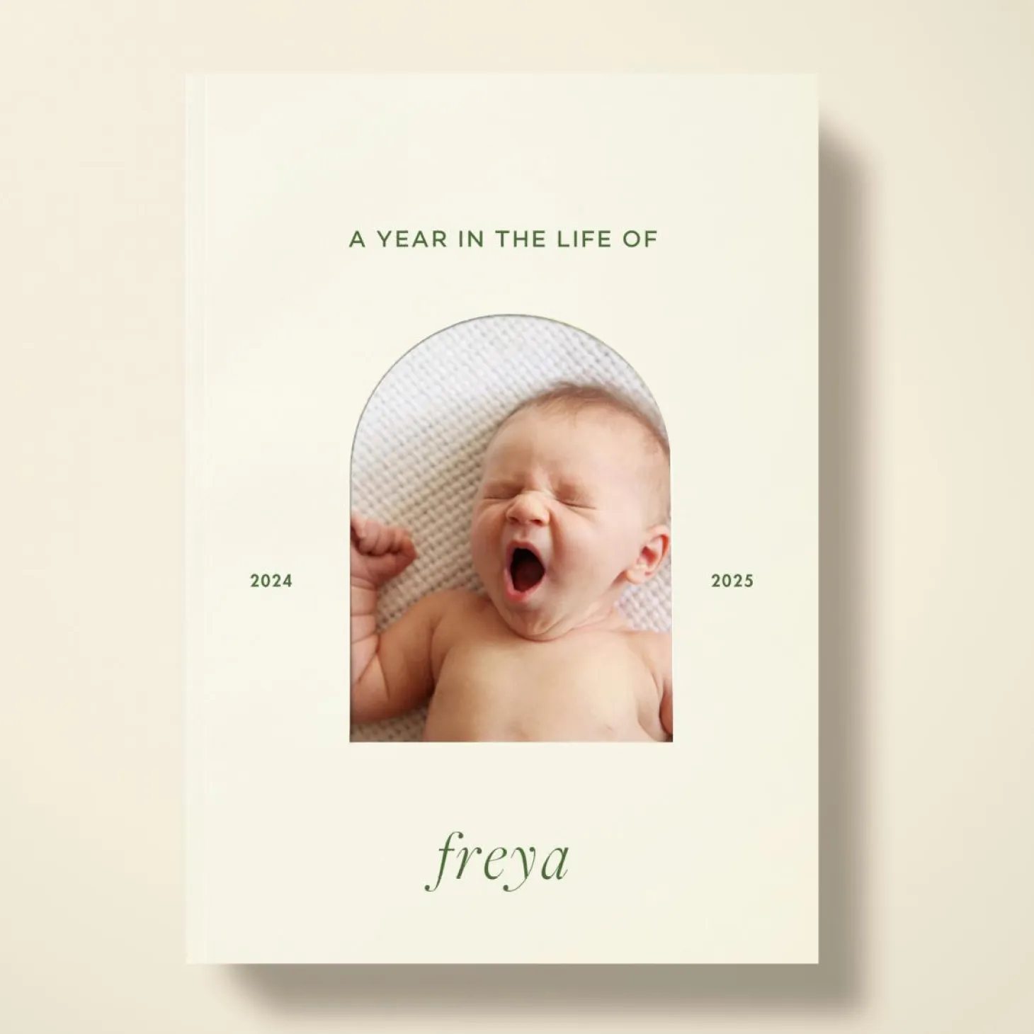 A Year in the Life