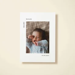 Baby Corner Photo