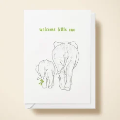 Baby Elephant