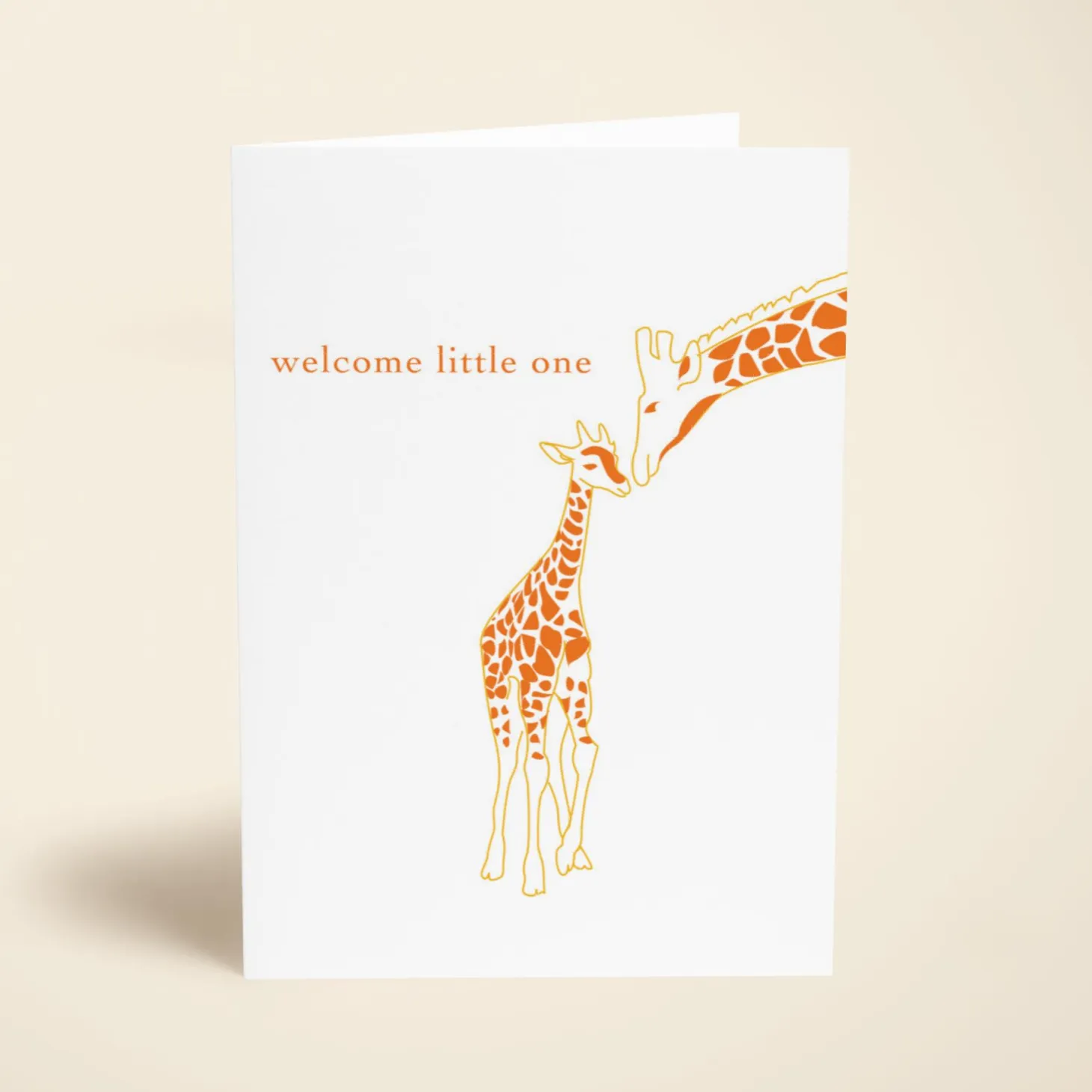 Baby Giraffe
