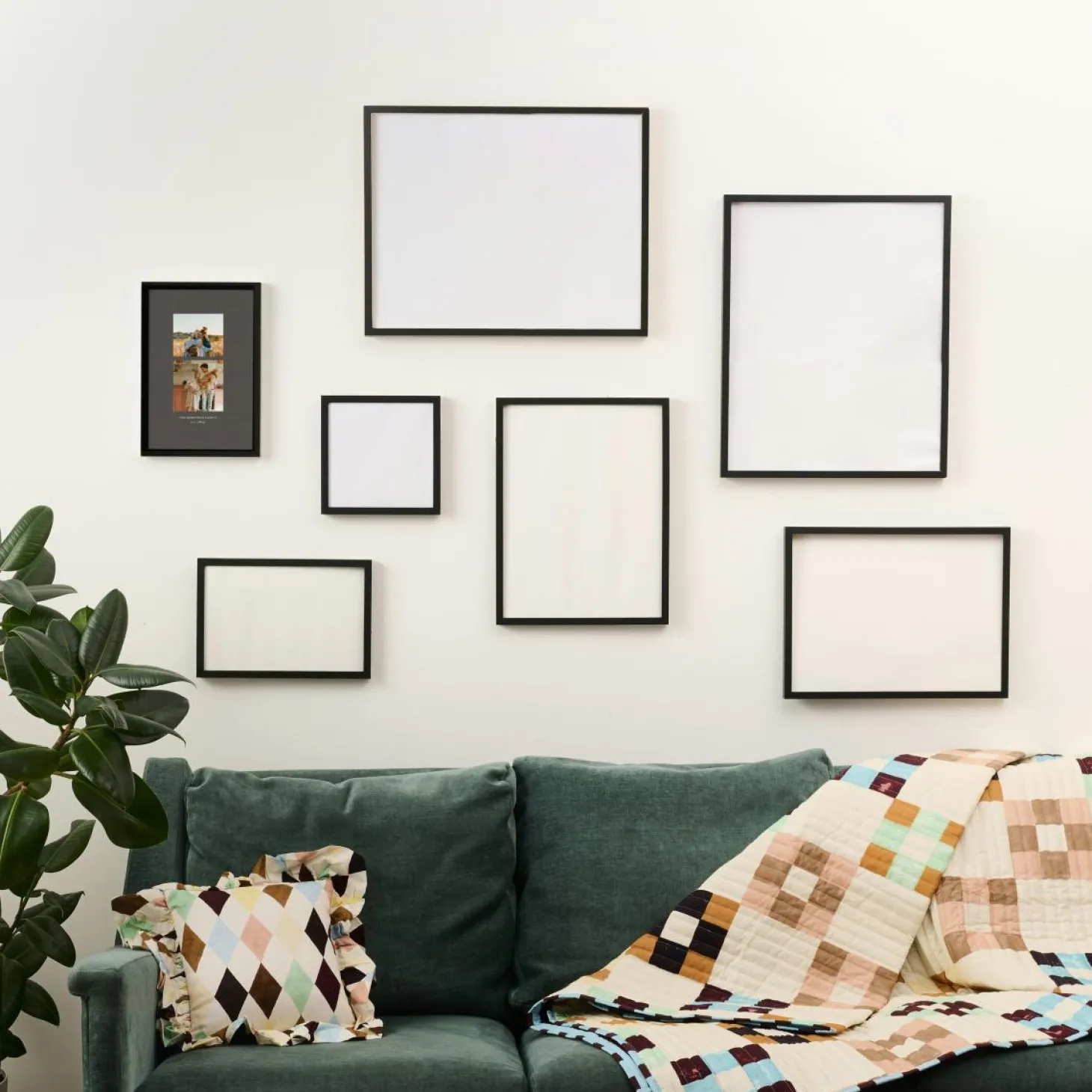 Backdrop