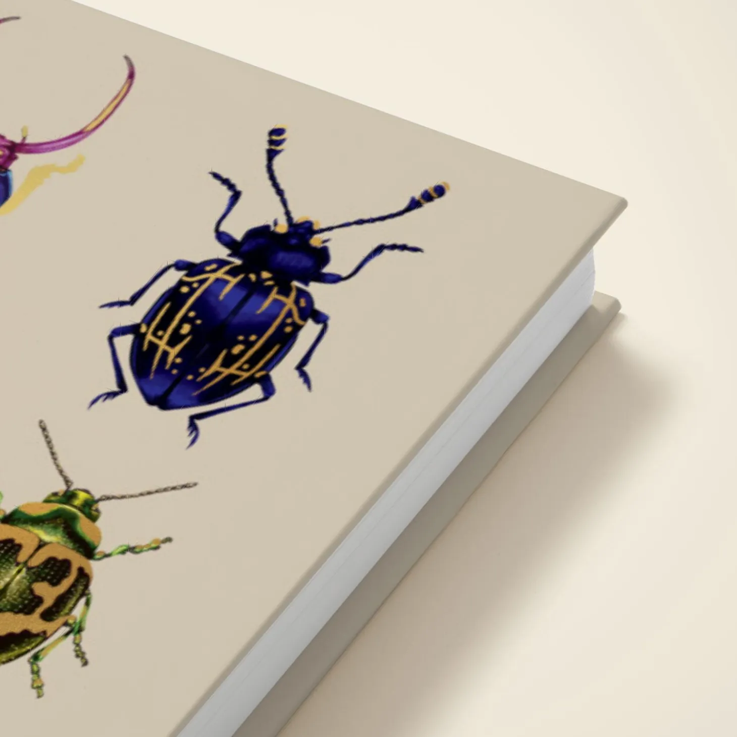 Beetles