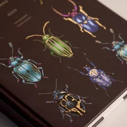 Beetles