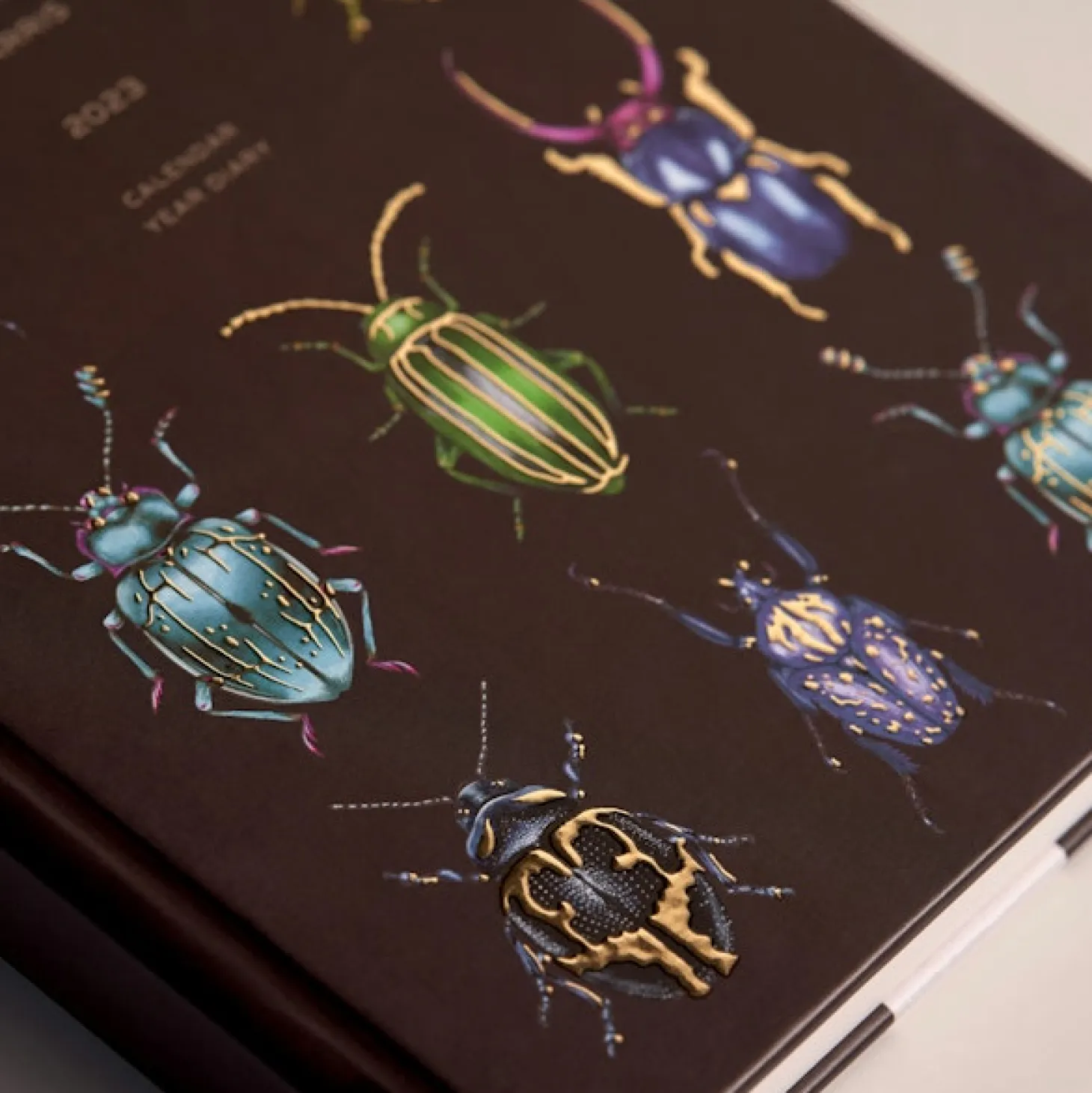 Beetles