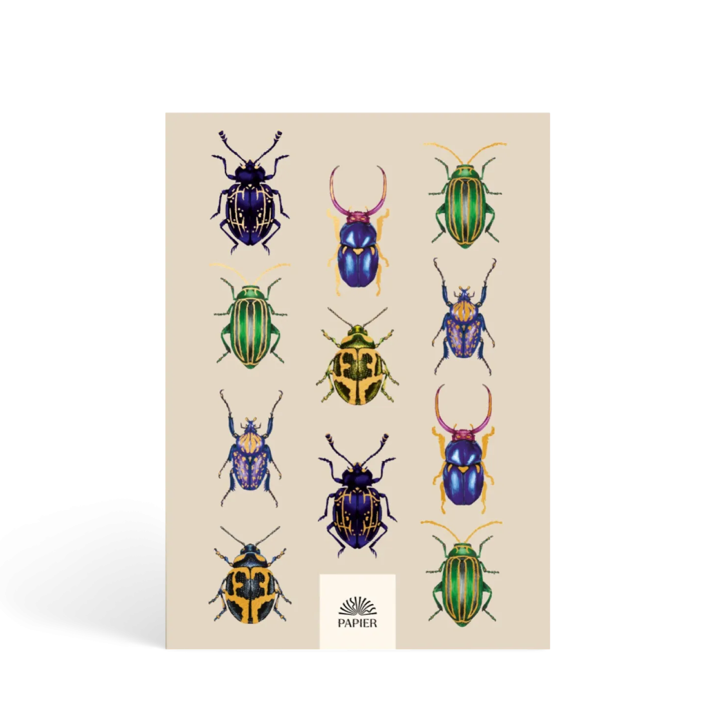 Beetles