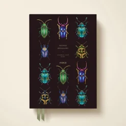 Beetles