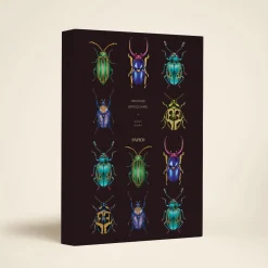 Beetles