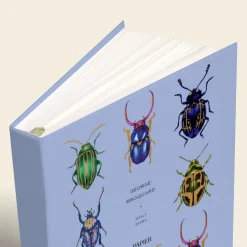 Beetles