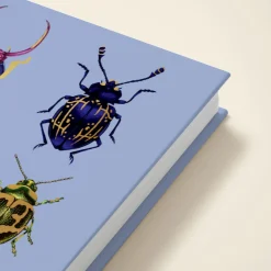 Beetles
