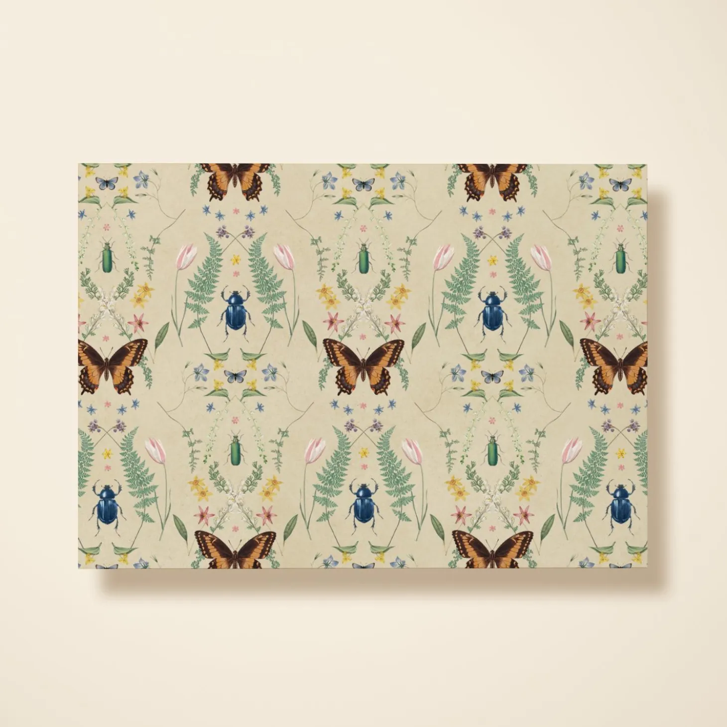 Beetles & Butterflies