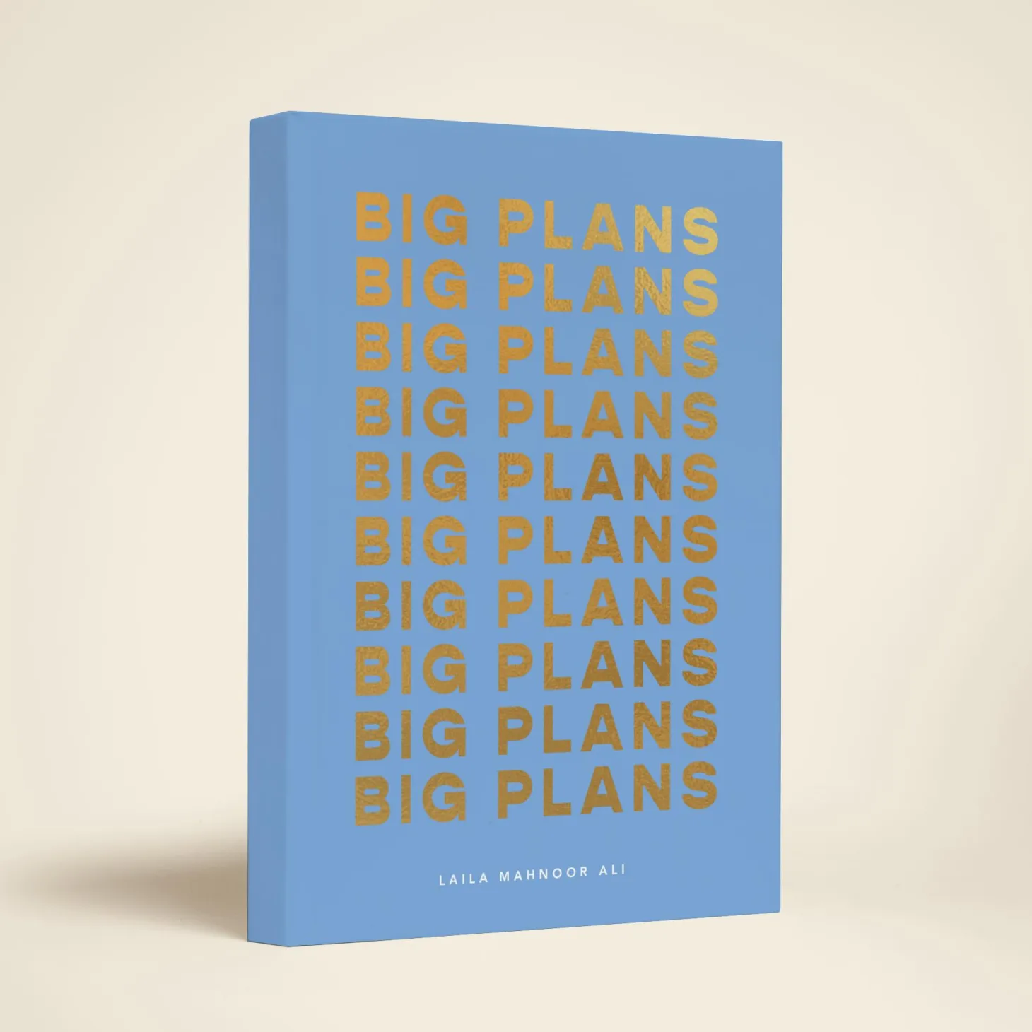 Big Plans