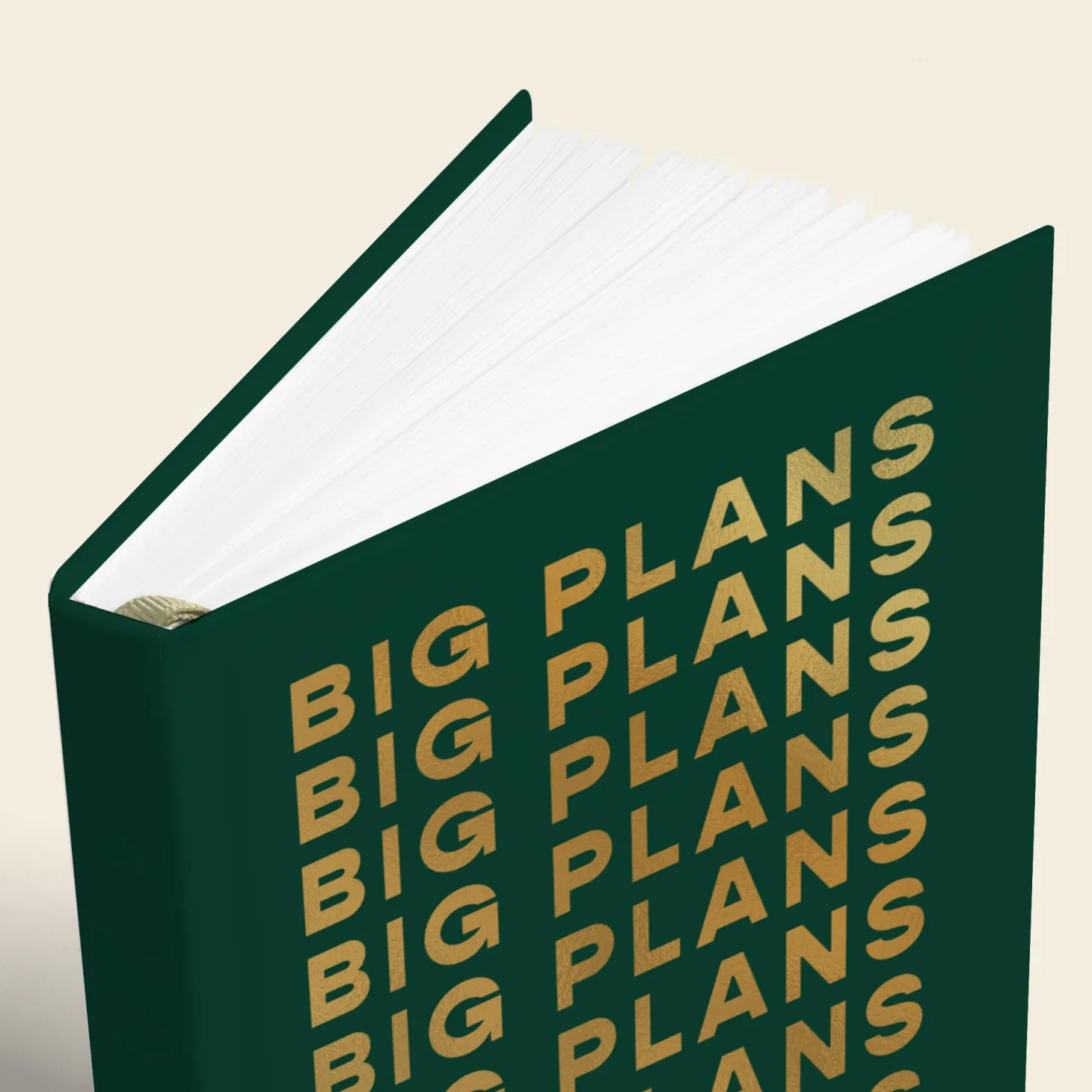 Big Plans