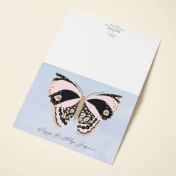 Birthday Butterfly