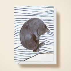 Cat Nap