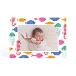 Colourful Fish