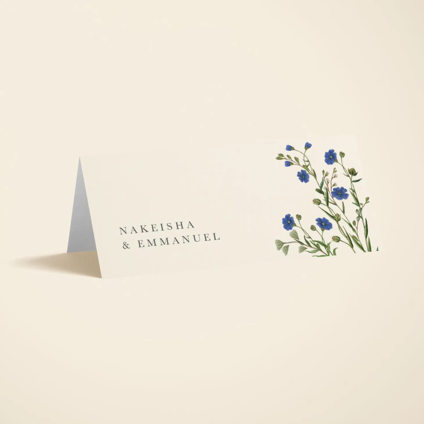 Cornflower
