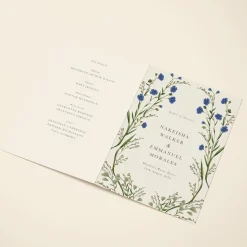 Cornflower