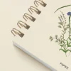 Cornflower