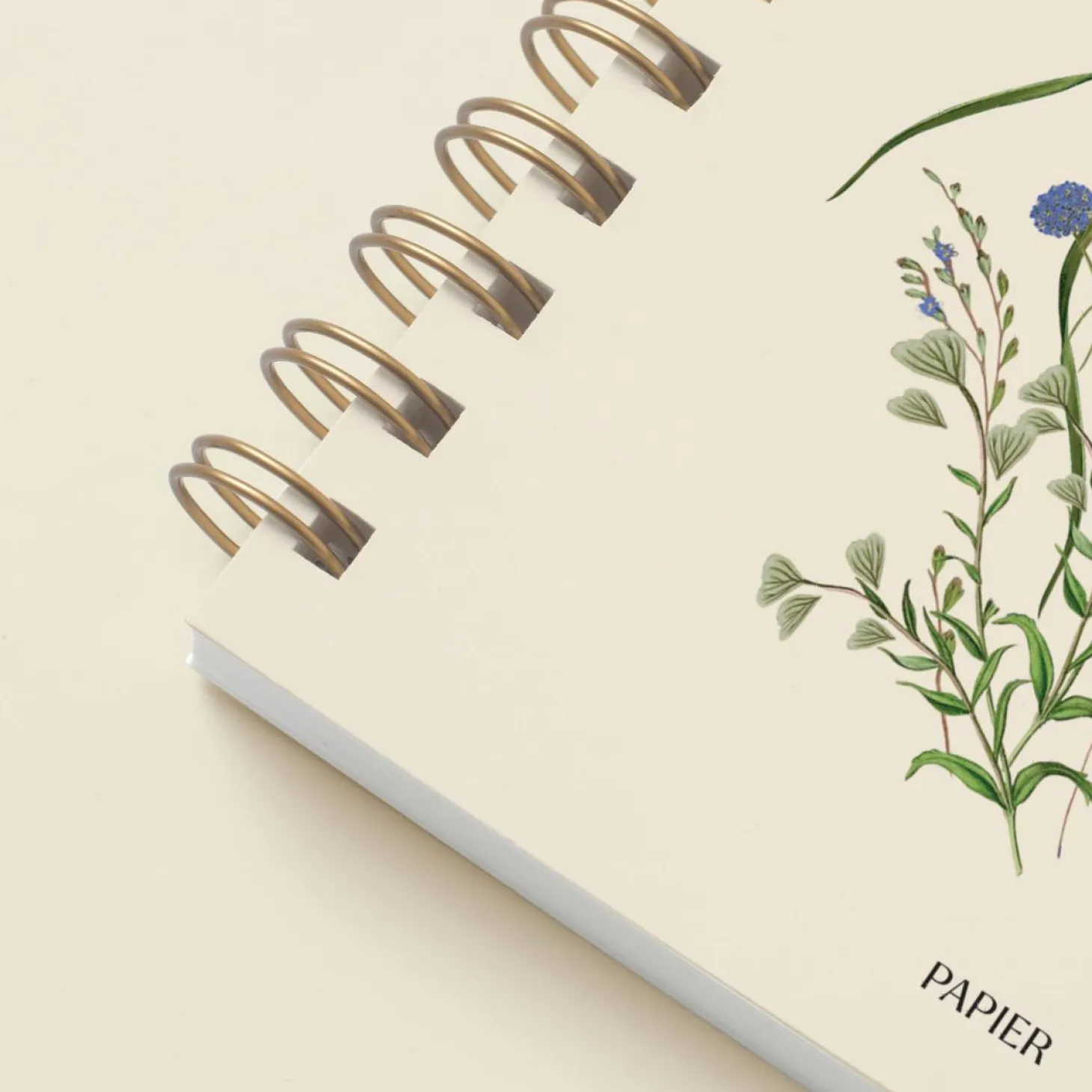 Cornflower