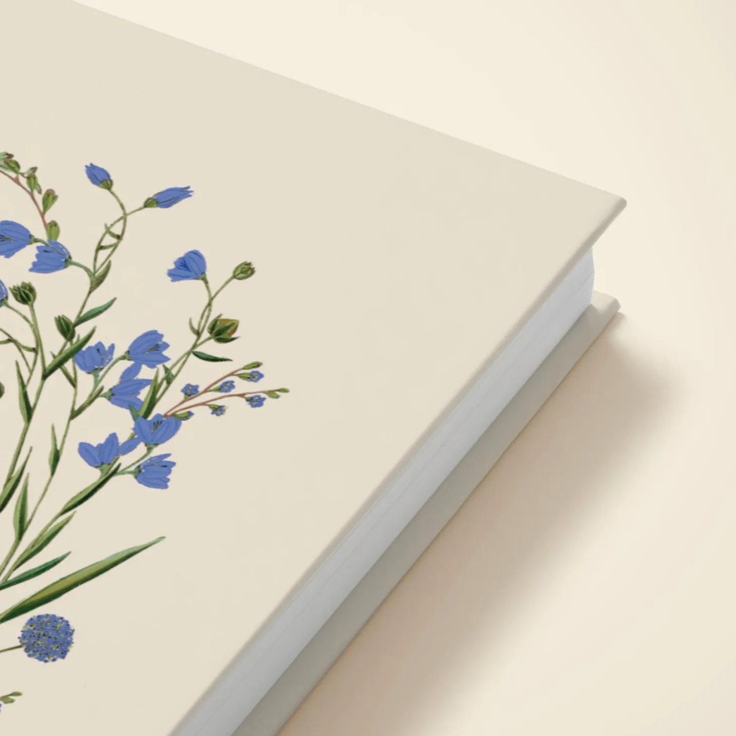 Cornflower