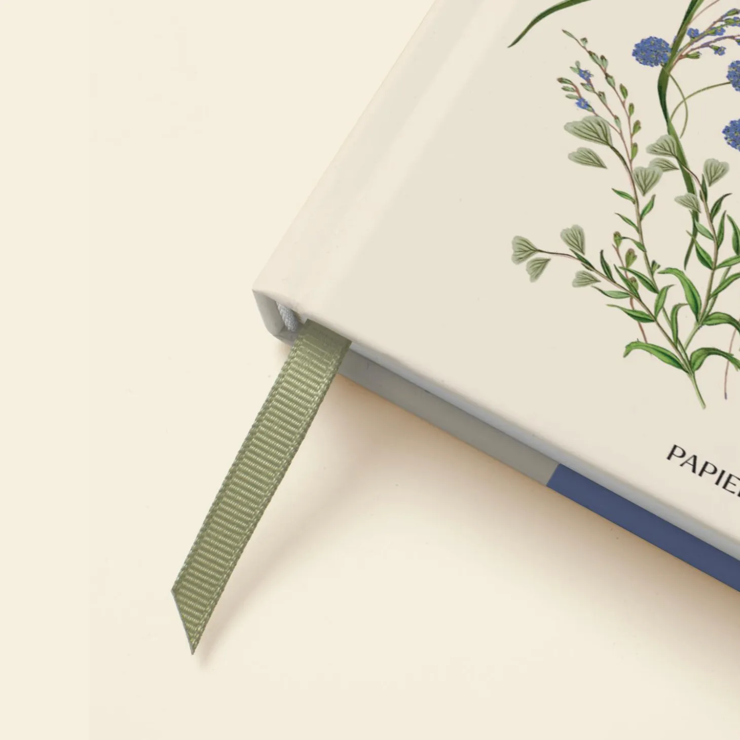 Cornflower