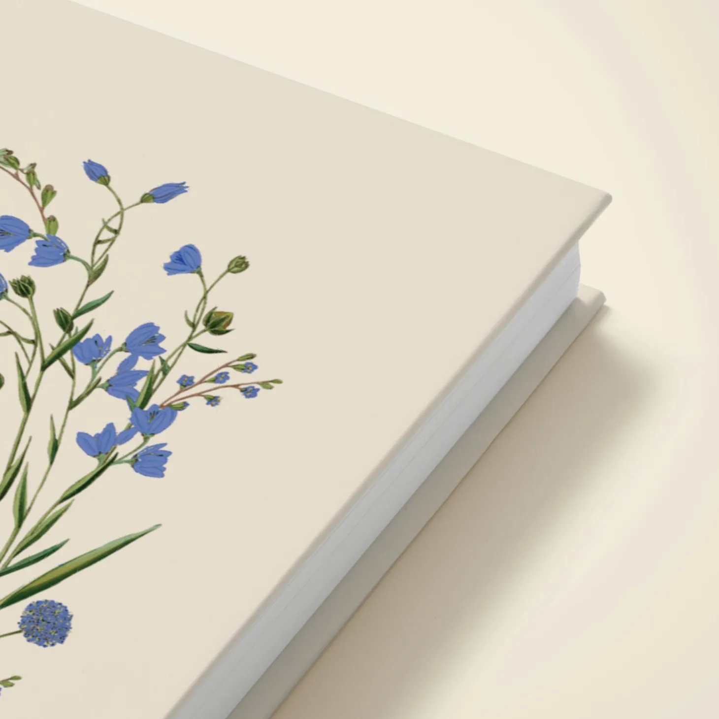 Cornflower