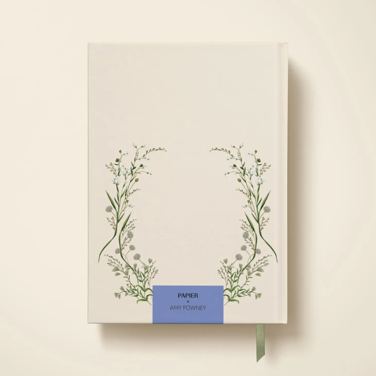 Cornflower