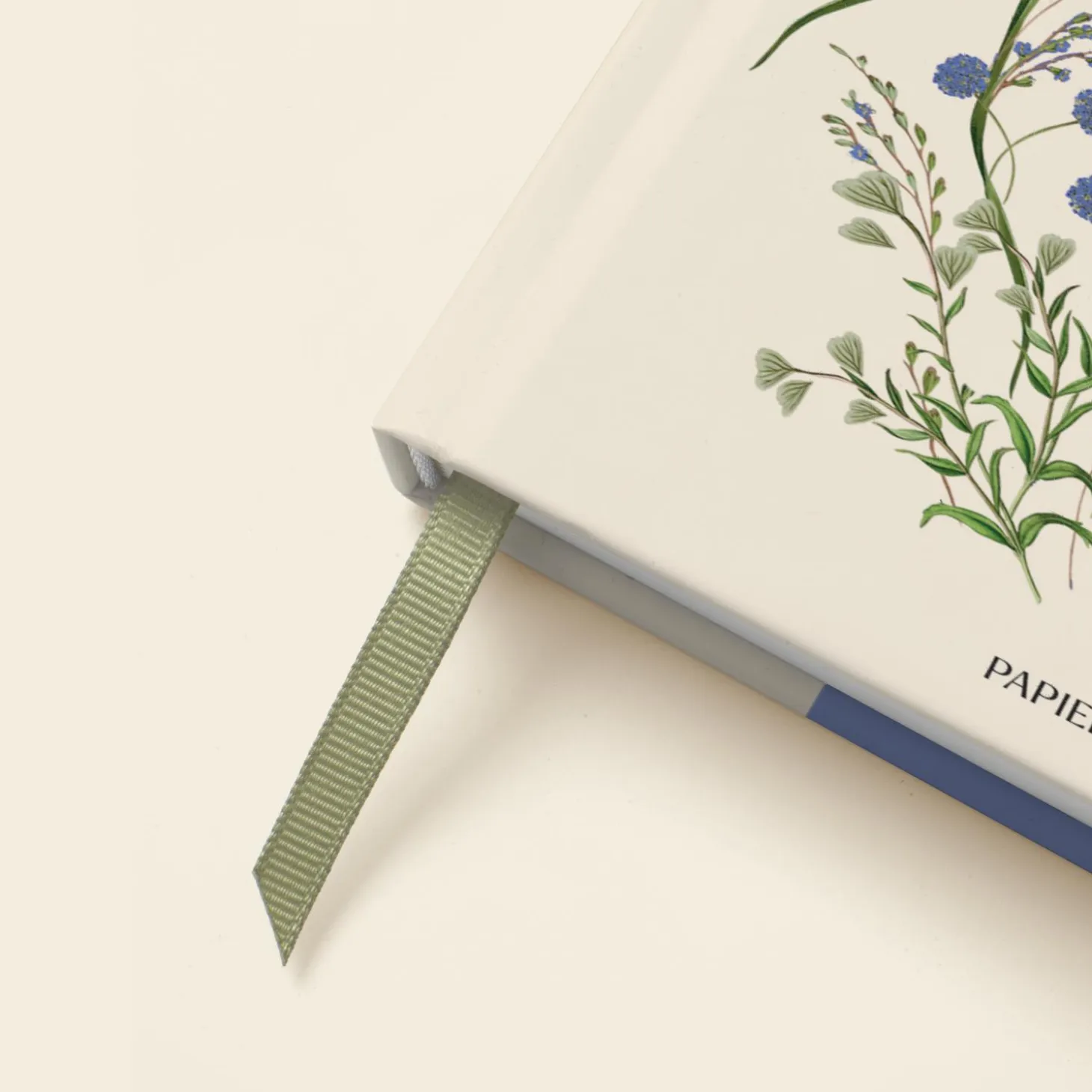 Cornflower
