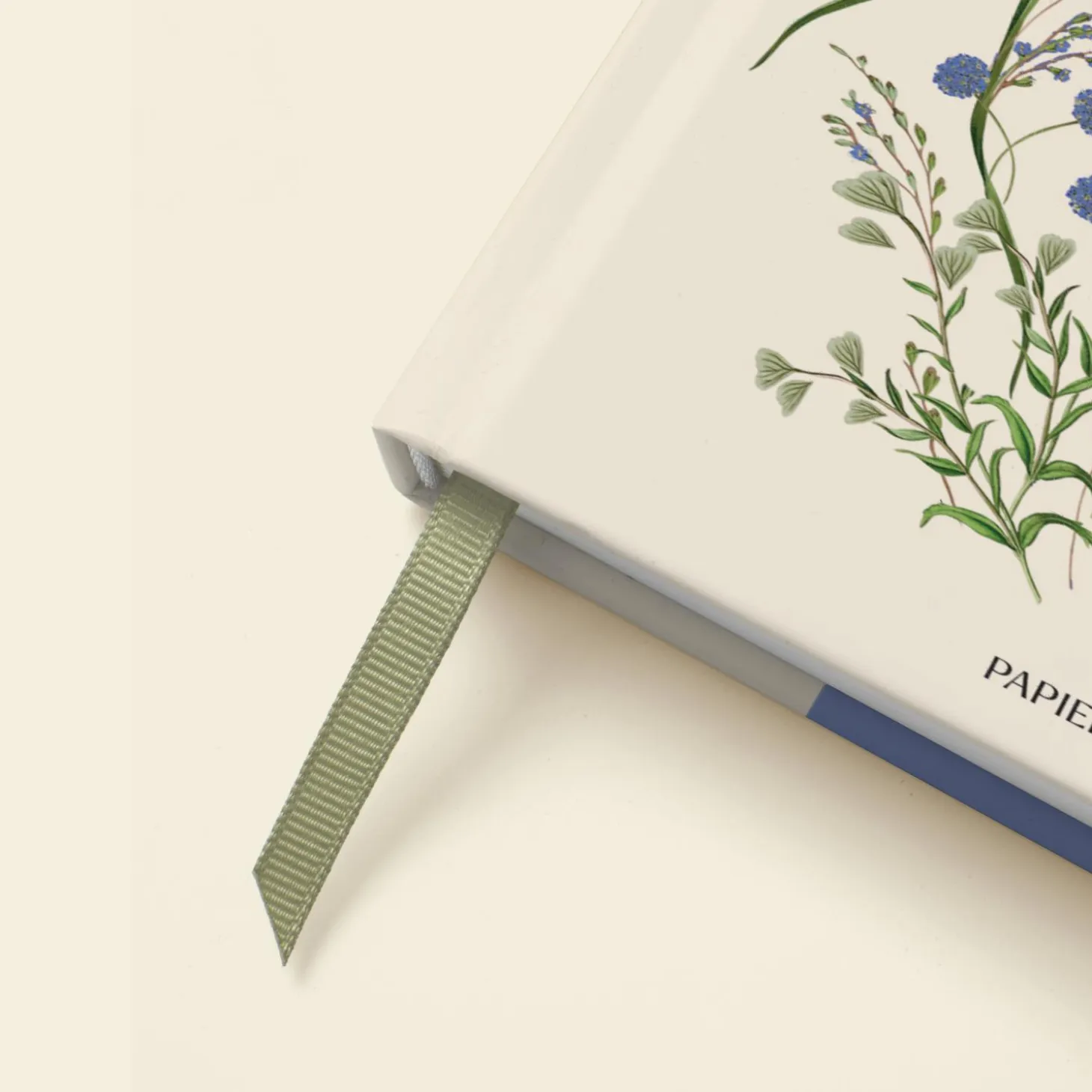 Cornflower