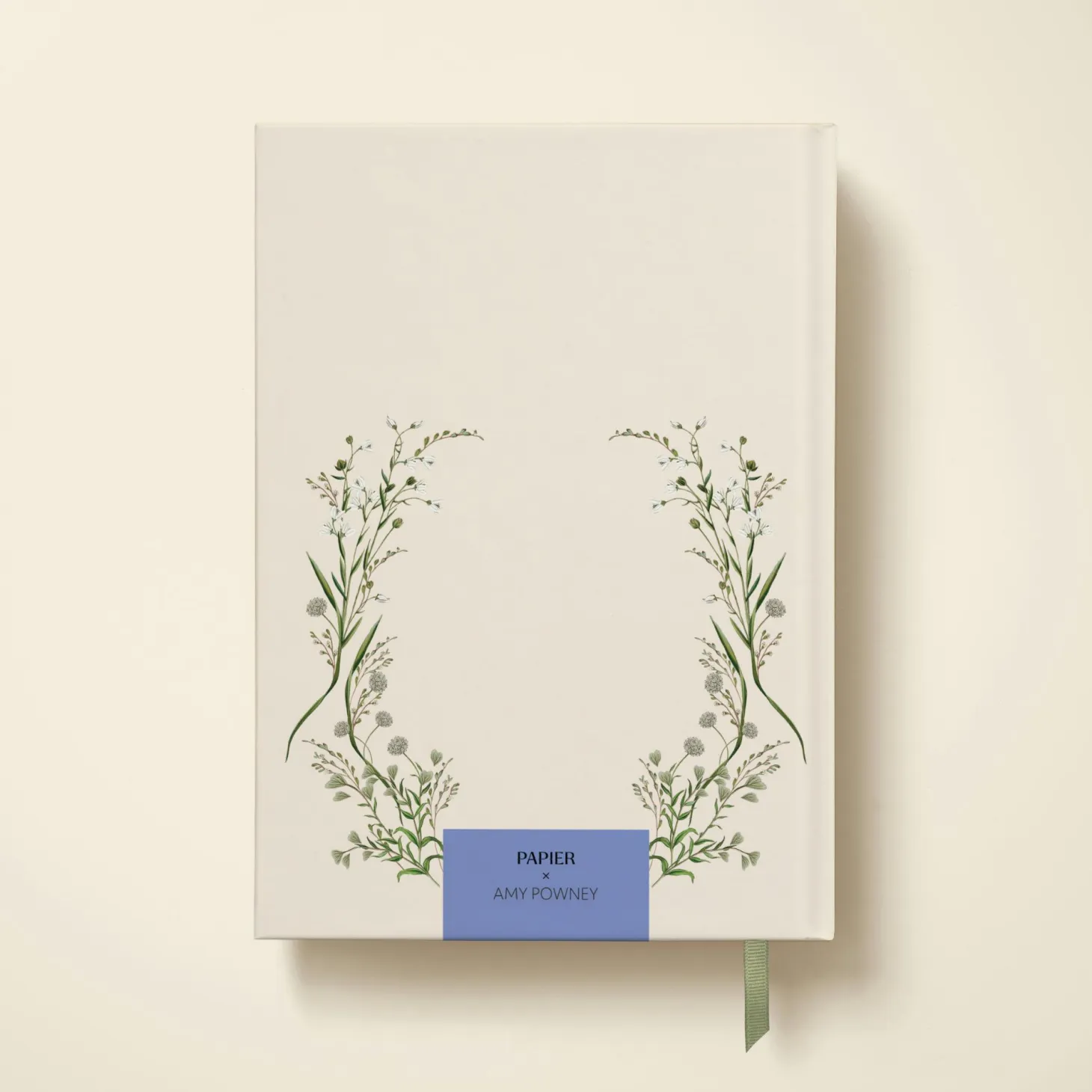 Cornflower