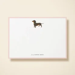 Dachshund