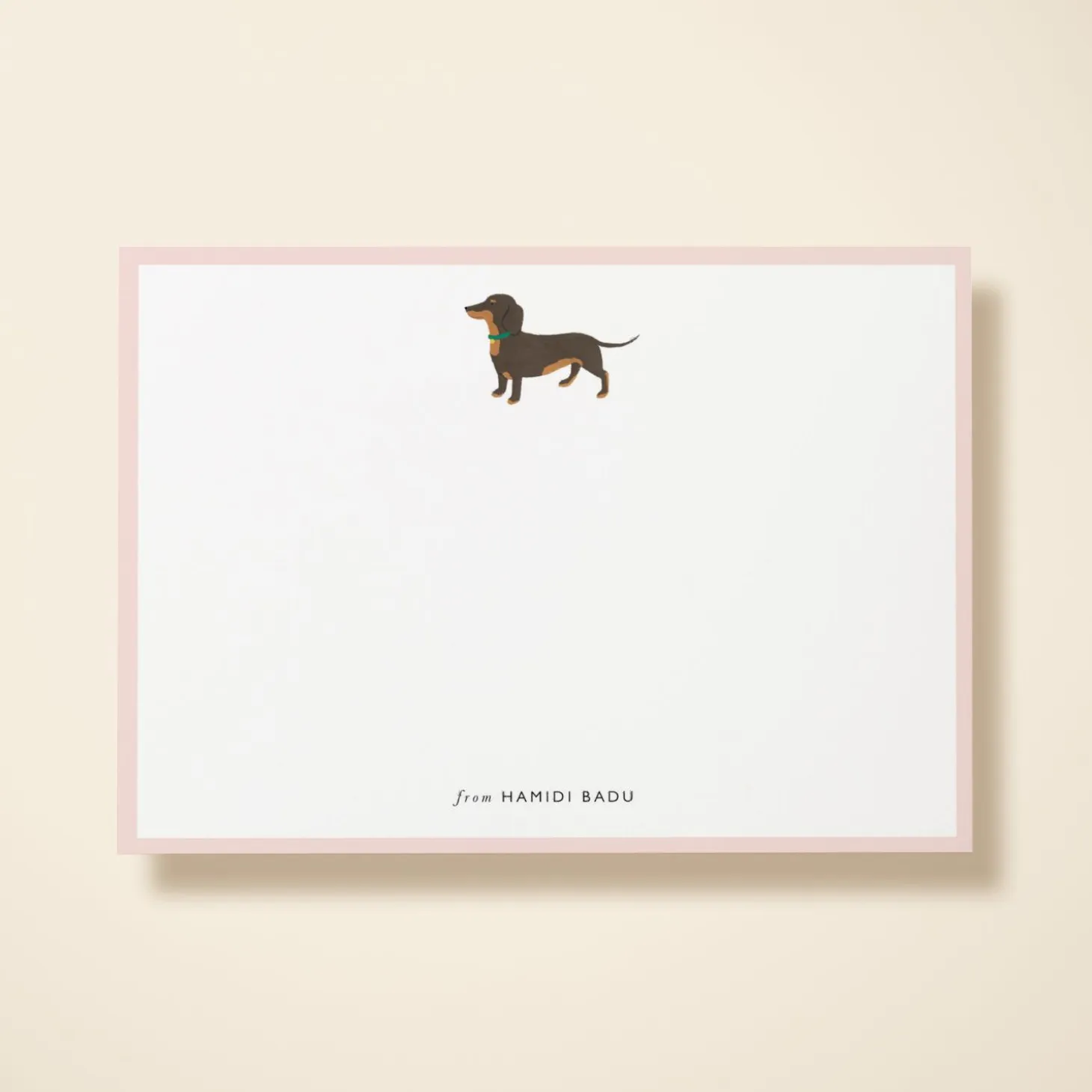 Dachshund