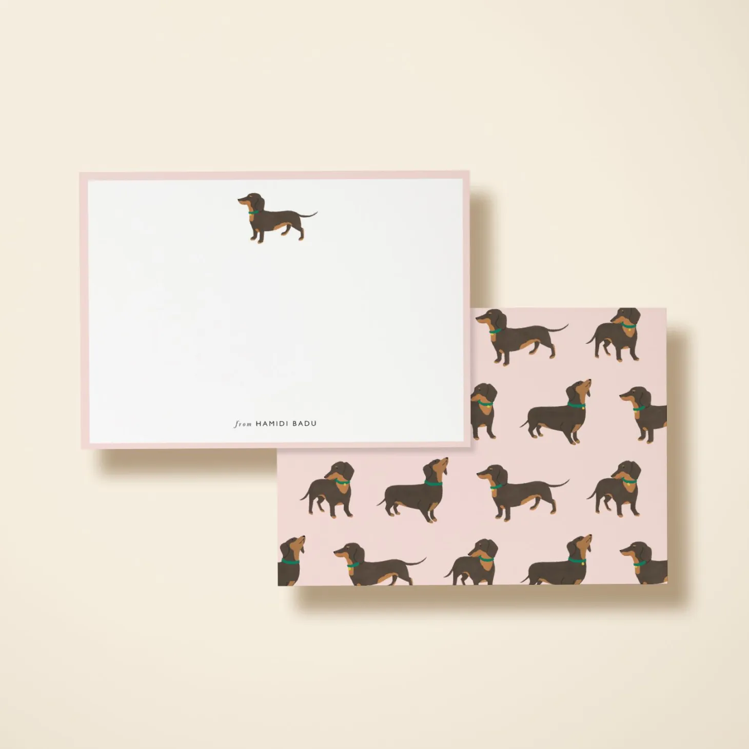 Dachshund