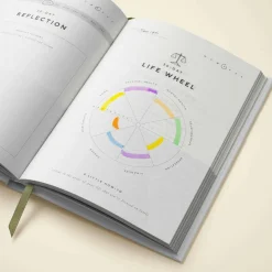 Dasik