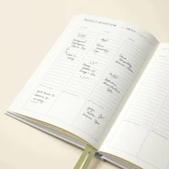 Daydreaming