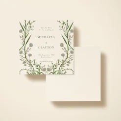 Elderflower