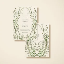 Elderflower