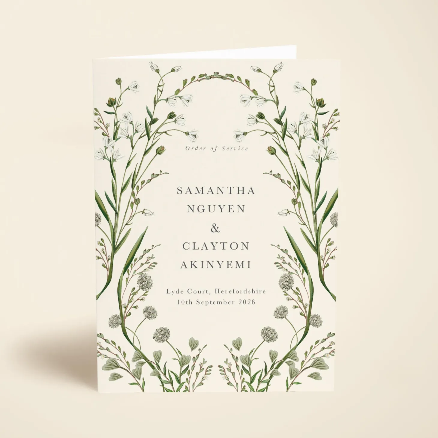Elderflower