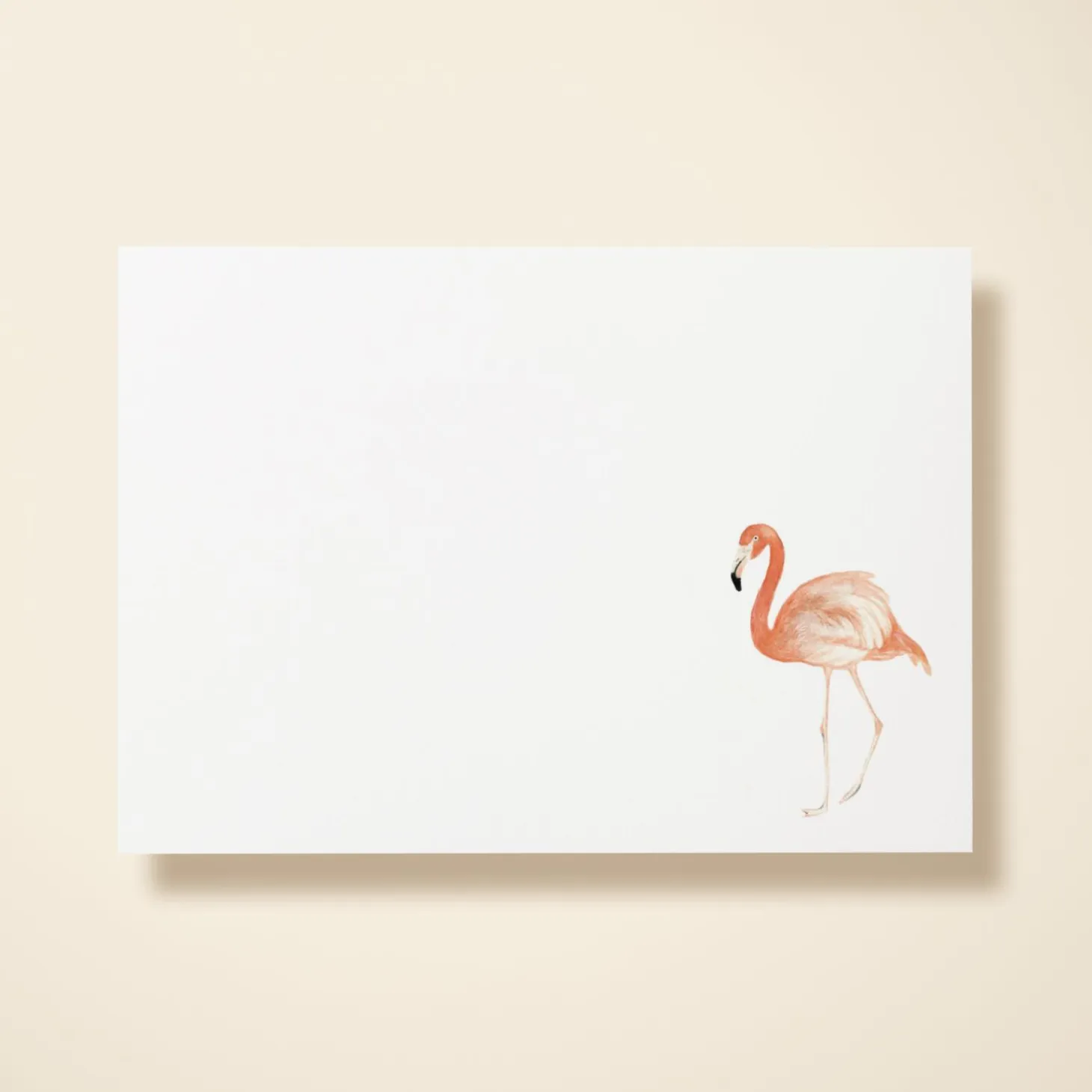 Flamingo