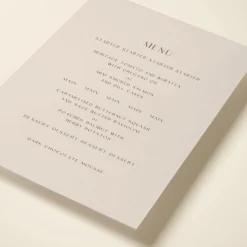 Handwritten Script