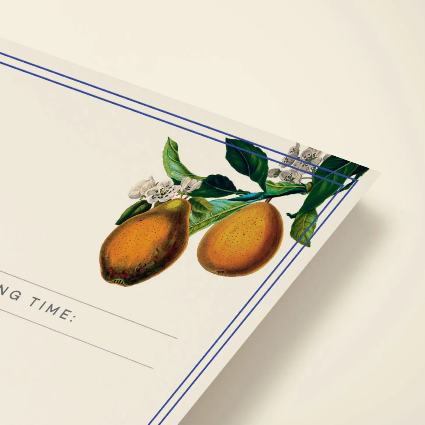 Hanging Fruits