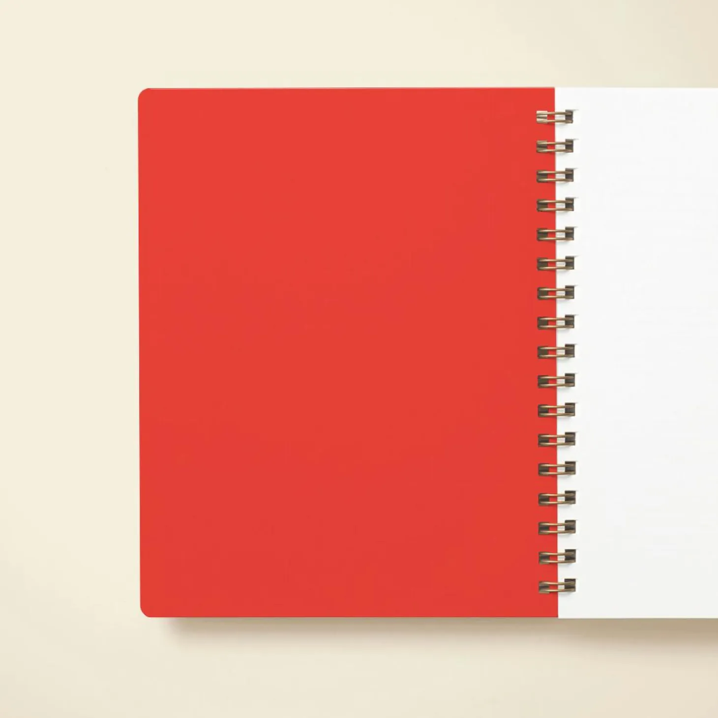 Joy