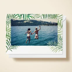 Palms Photo