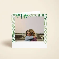 Palms Photo