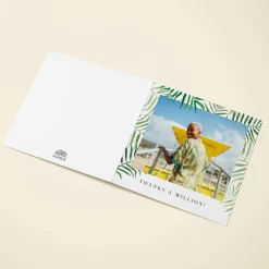 Palms Photo