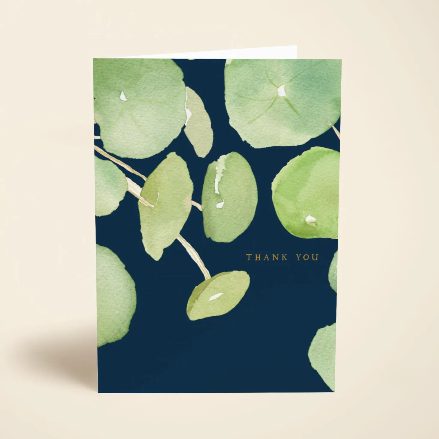 Pancake Plant Thanks