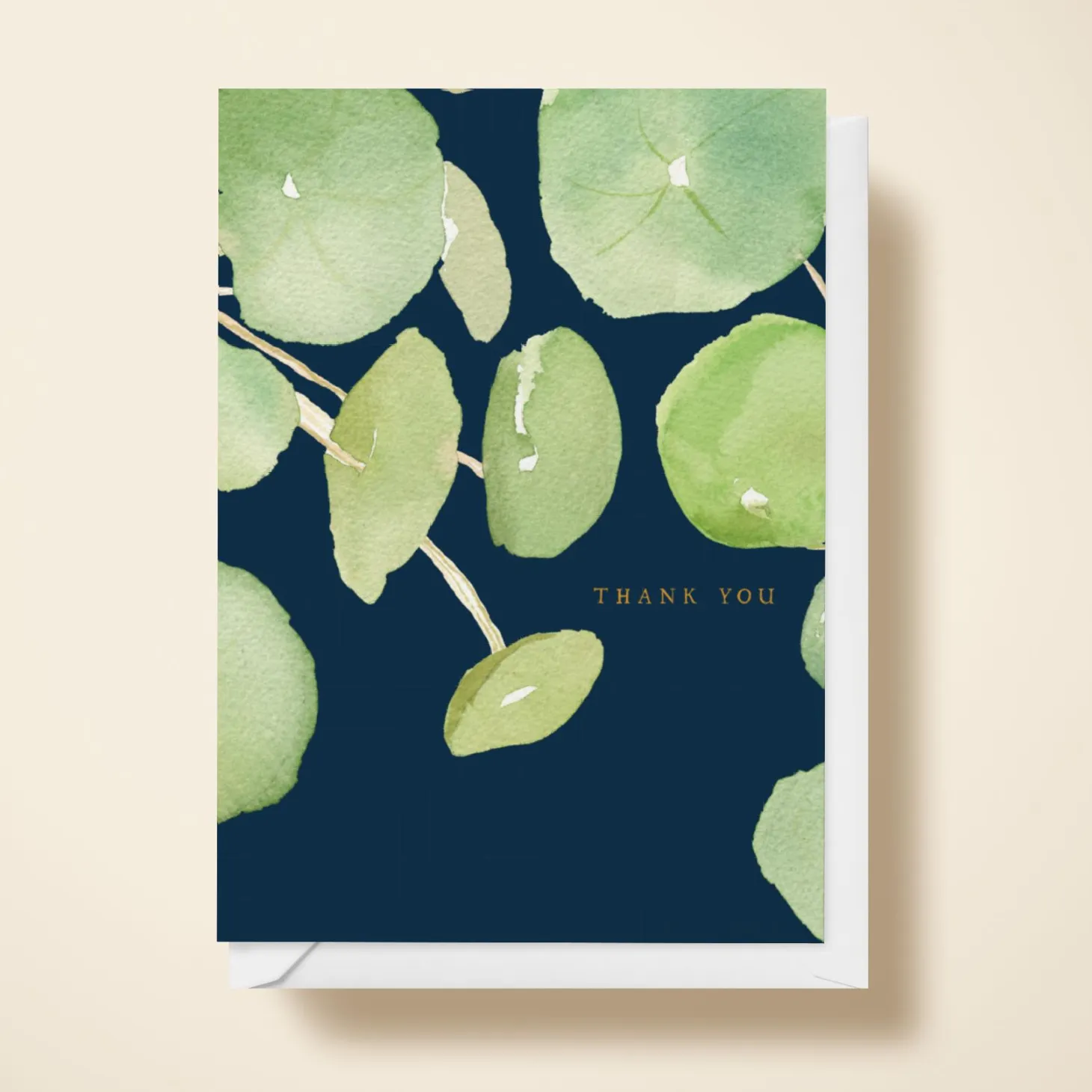 Pancake Plant Thanks