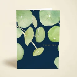 Pancake Plant Thanks