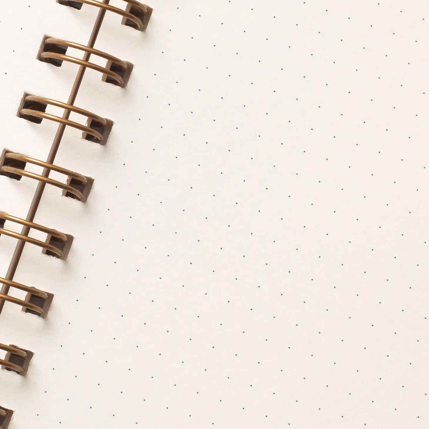 Parakeets of London